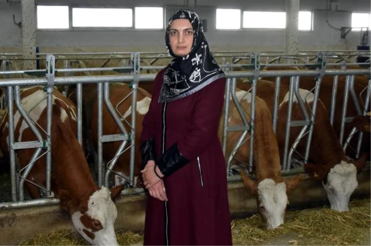 Kadın Girişimci, Devlet Desteğiyle 3 Milyon Liralık Hayvancılık Tesisi Kurdu