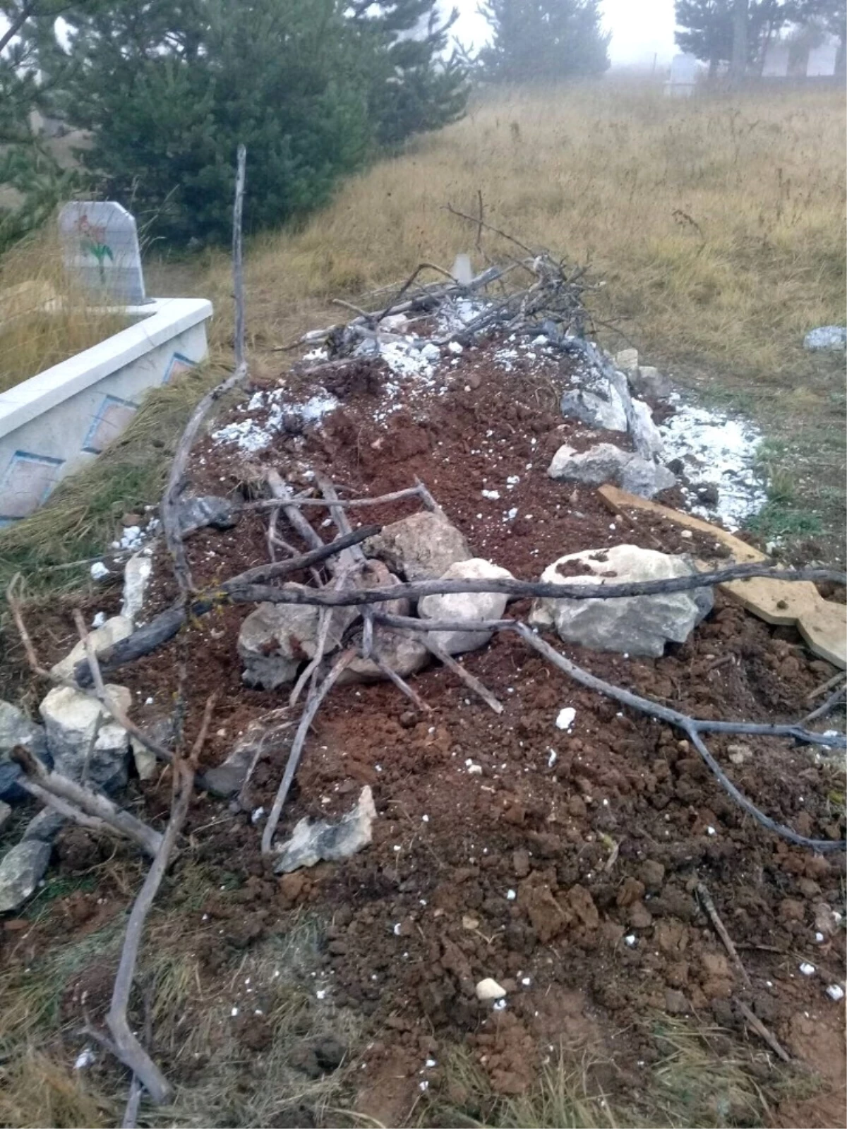 Kastamonu\'da Aç Kalan Ayılar, Mezarlara Dadandı