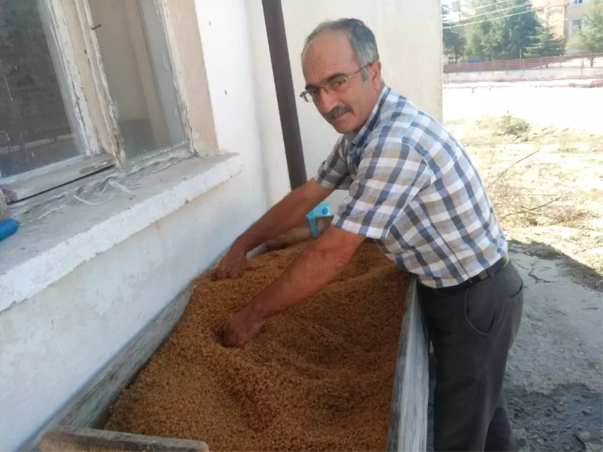 Şimdi Bulgur Zamanı