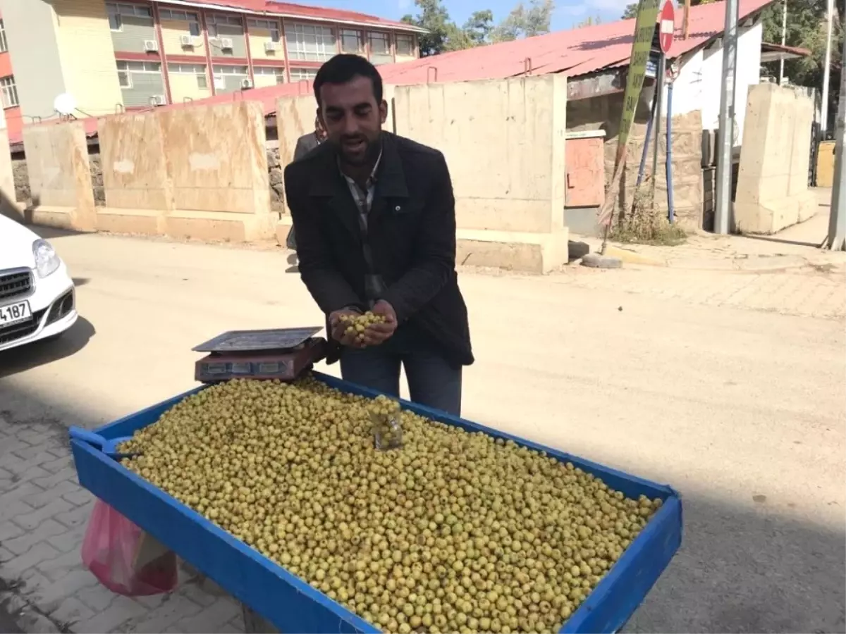 Kış Mevsiminin Habercisi Alıç Tezgahlardaki Yerini Aldı