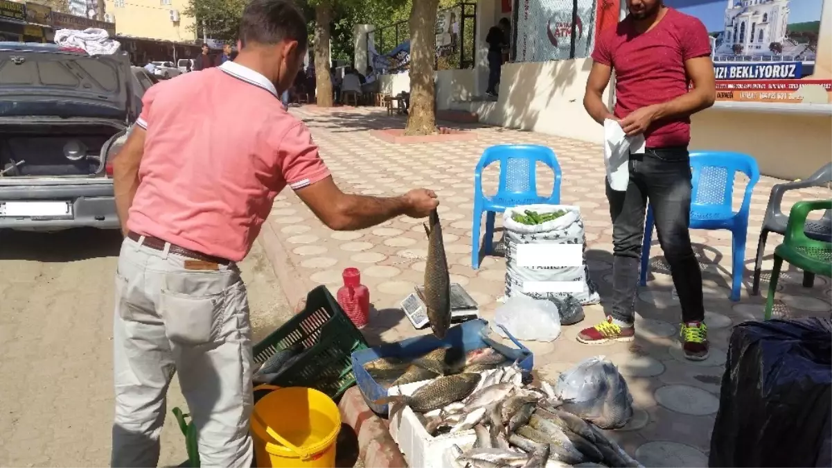 Kulp\'ta Baraj Balığı Tezgahtaki Yerini Aldı