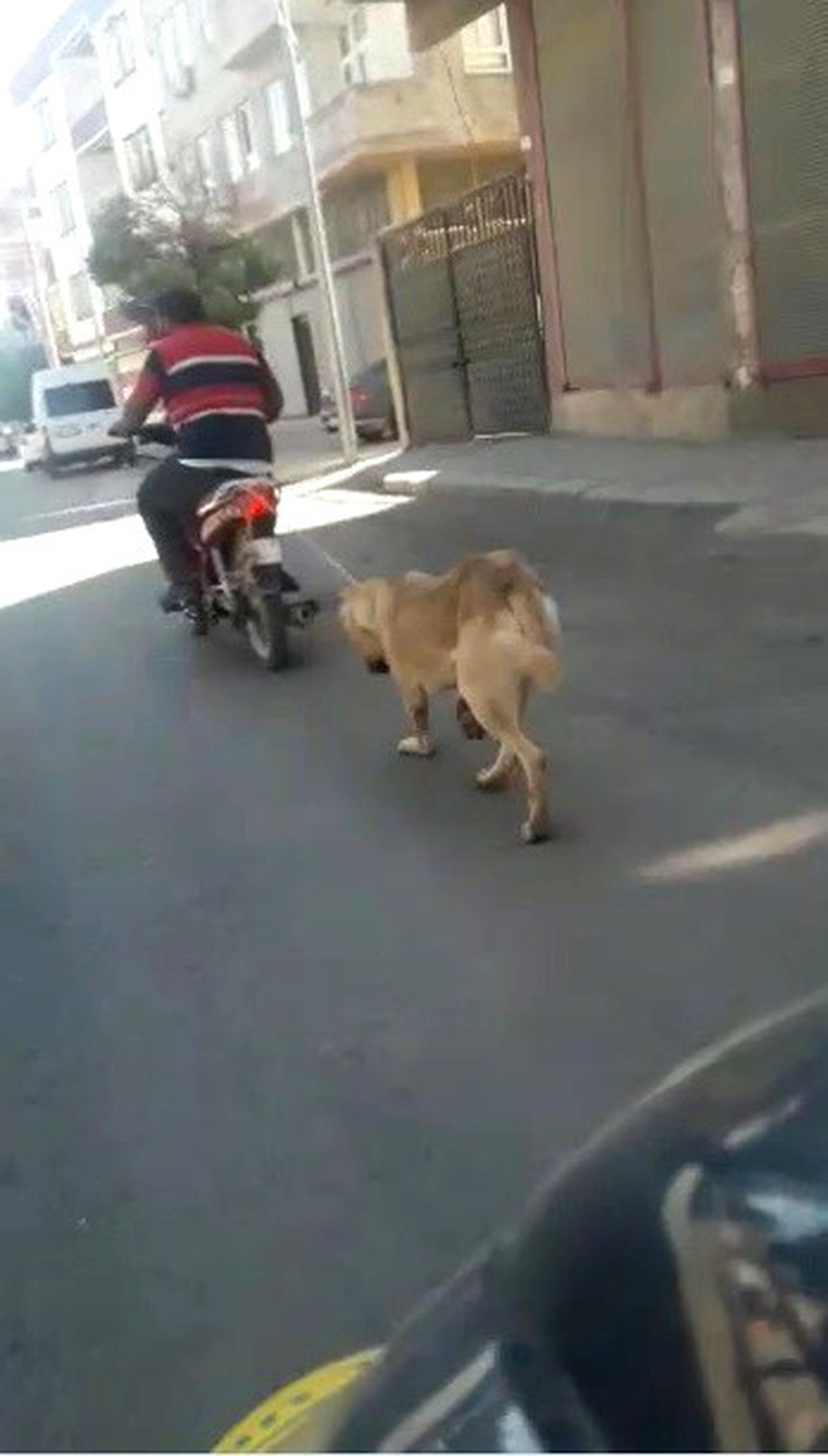 Köpeğin Boğazına İp Geçirip Motosikletin Arkasına Bağladı
