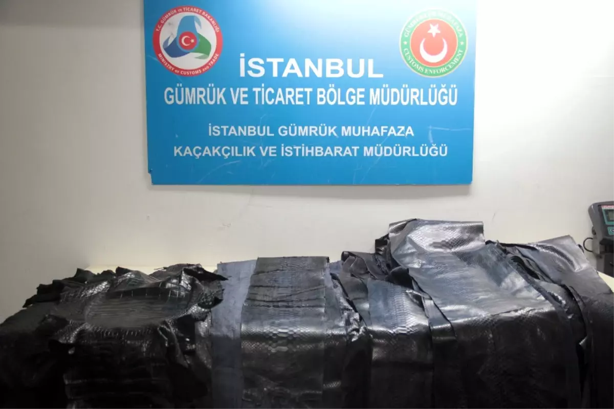 Atatürk Havalimanı\'da Yılan ve Timsah Derisi Yakalandı