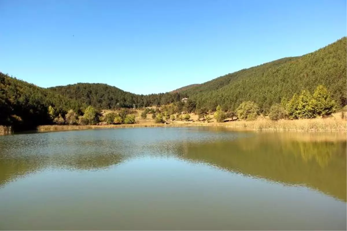 Doğa Kampından Kalan Çöpler 3 Günde Temizlendi