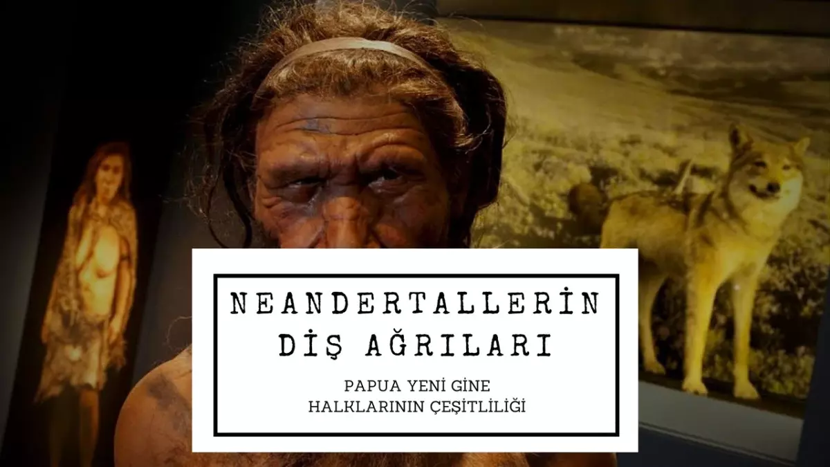 Neandertallerin Diş Ağrıları ve Papua Yeni Gine Halklarının Çeşitliliği