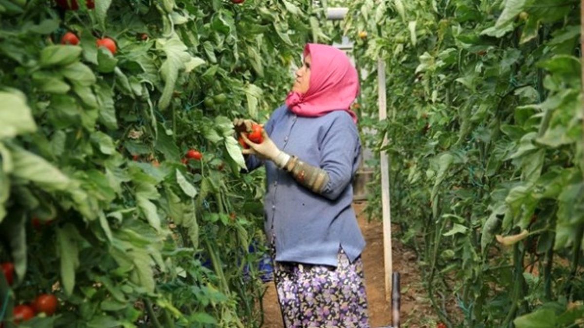Tzob\'dan Kadın Çiftçilere Pozitif Ayrımcılık Talebi
