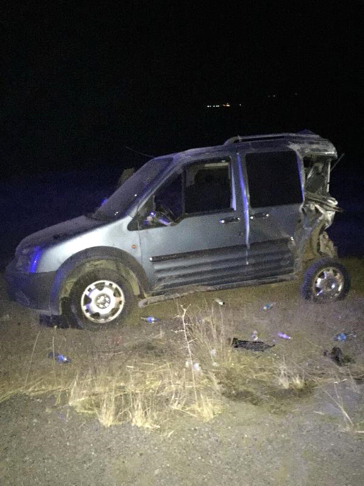 Bingöl\'de Yola Çıkan Domuzlar, Kazaya Yol Açtı: 8 Yaralı