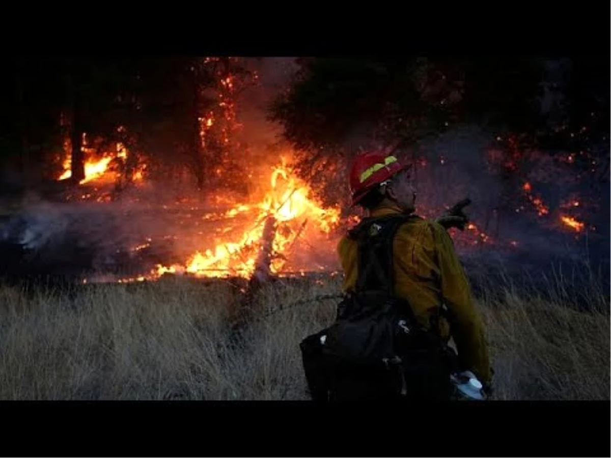 California Tarihinin En Büyük Orman Yangınıyla Karşı Karşıya