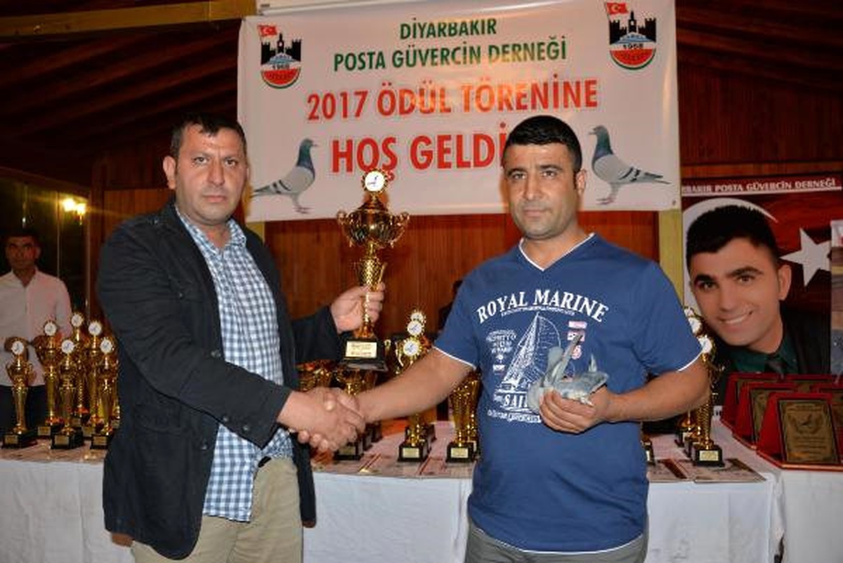 Posta Güvercinlerine Çip Takıp Yarıştırdılar