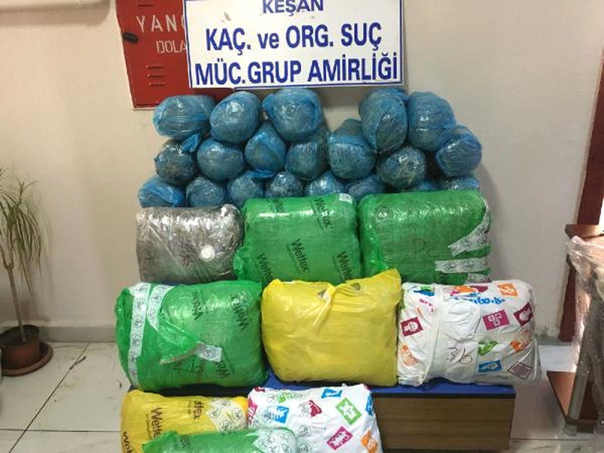 Ağaçların Arasına Gizlenmiş 75 Kilo \'Skunk\' Ele Geçirildi