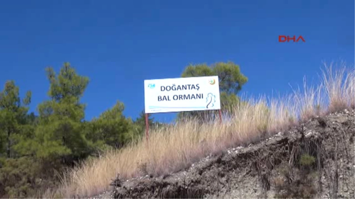 Antalya Bir Kilo Balı Üç Dakikada Yedi