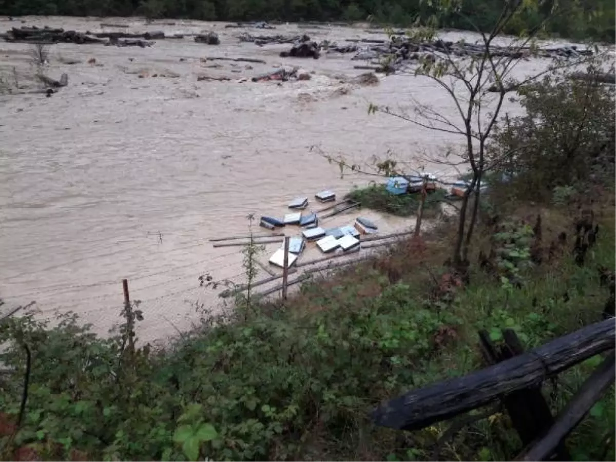 Arhavi\'de Şiddetli Yağmur Sele Yol Açtı (2)