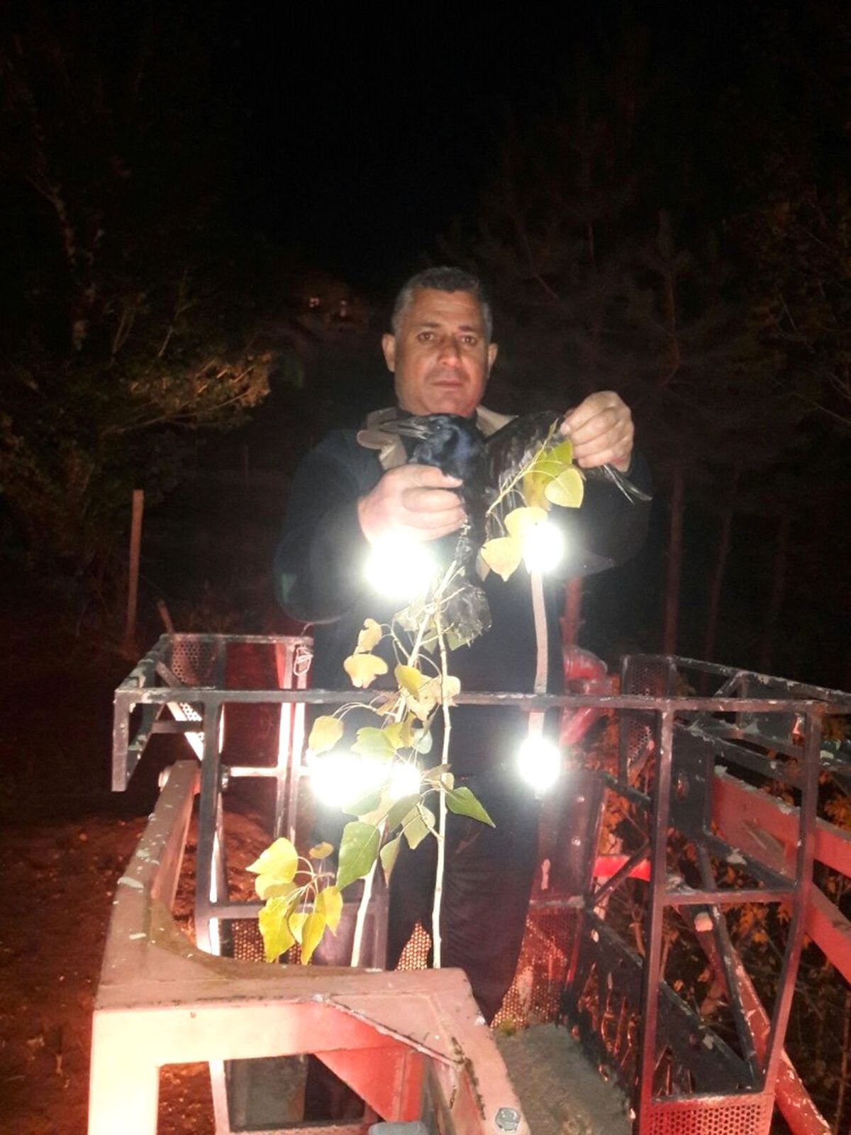 İtfaiyeden Kuş Kurtarma Operasyonu