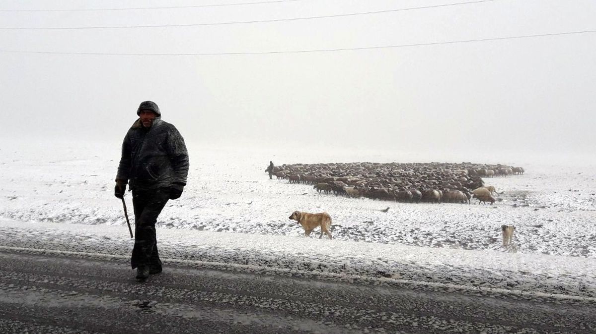 Kars Kara Teslim