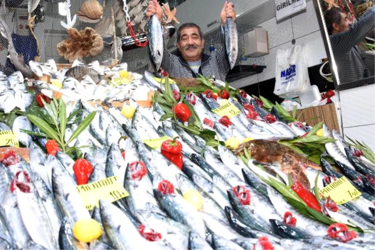 Palamut Fiyatları Düştü