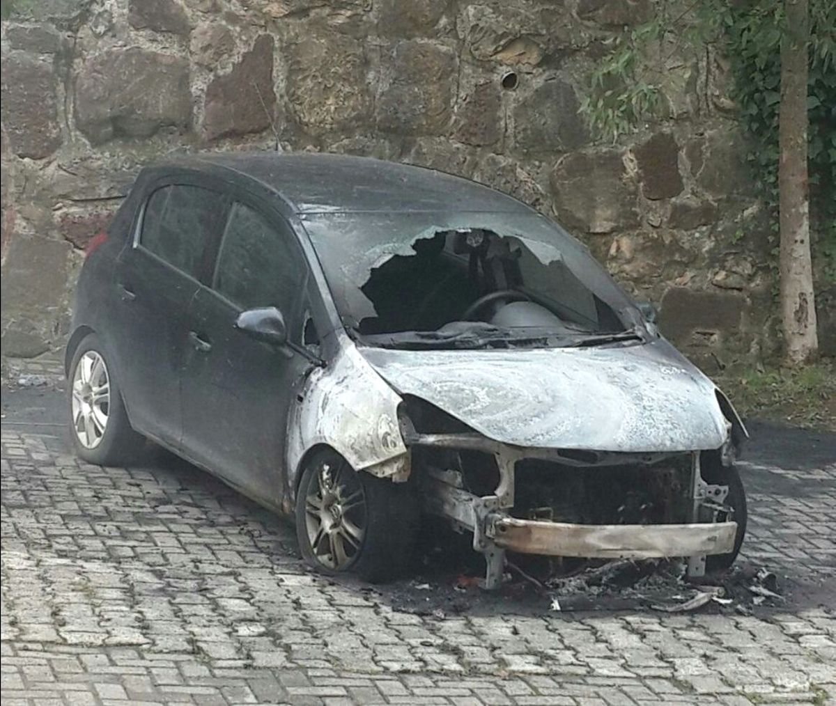 Park Halindeki Otomobil Alev Alev Yandı