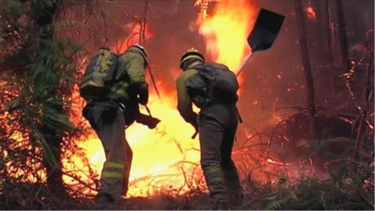 Portekiz ve İspanya\'da Orman Yangınları