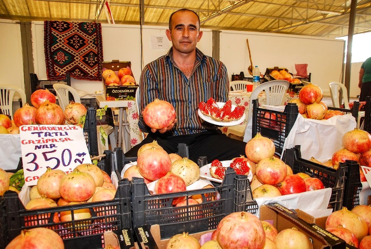 Sadece Gazipaşa\'nın Bazı Mahallelerinde Yetişiyor, Rusya Pazarındaki Seçkin Müşterilere Gidiyor