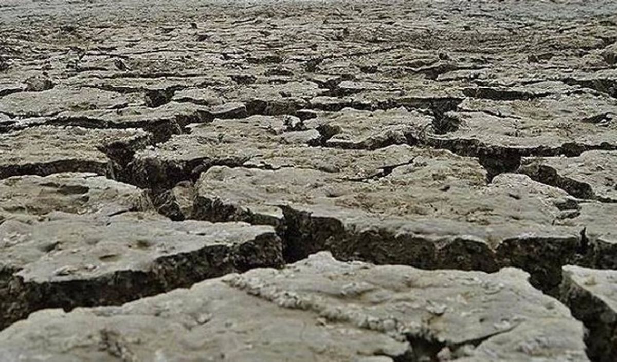Uluslarası Kuraklık İttifakı\' Kuruldu