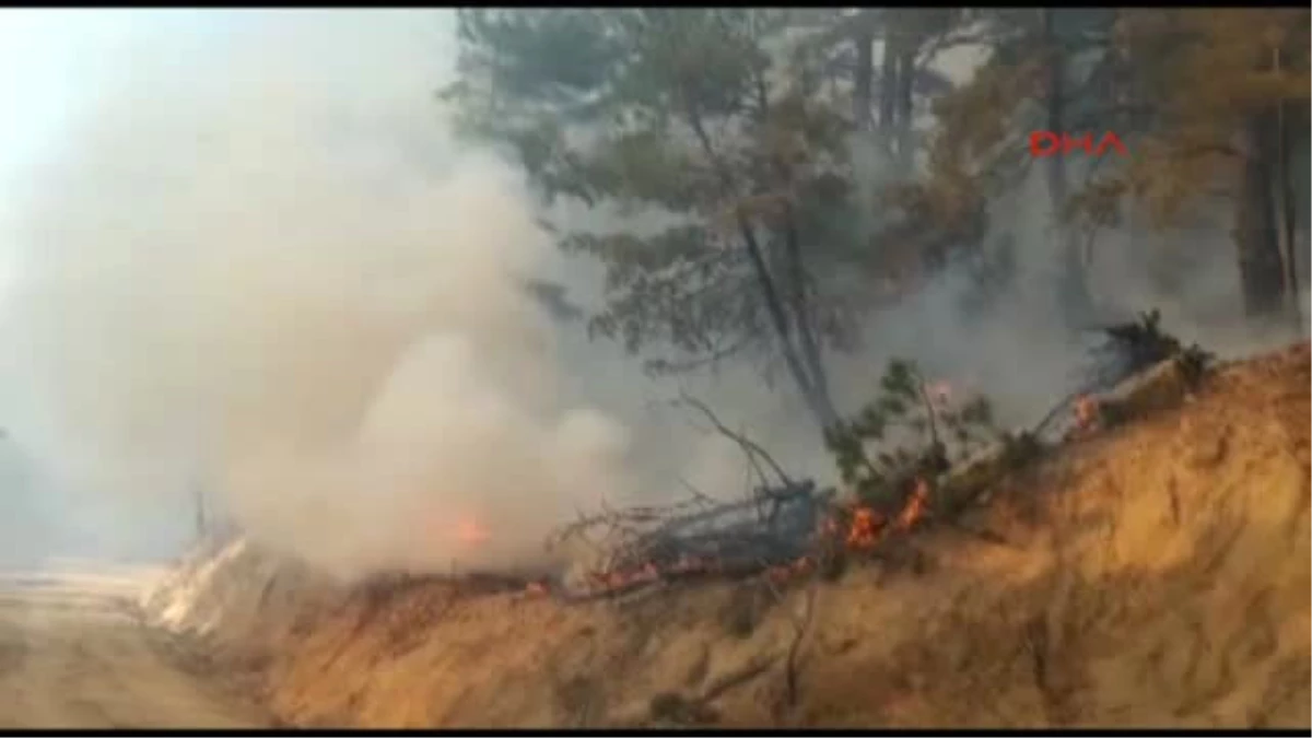Bergama\'da Orman Yangını