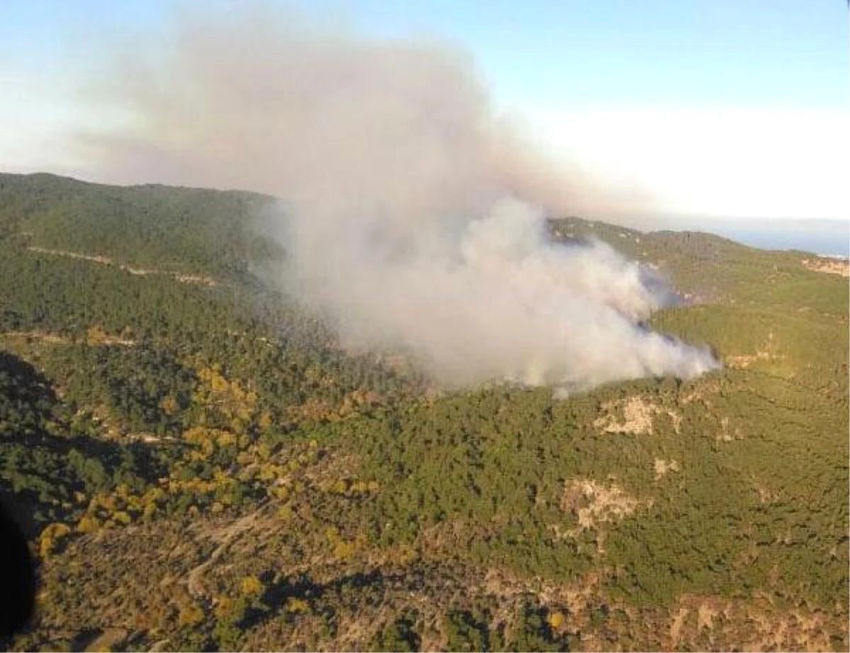 Bergama\'da Orman Yangını (2)