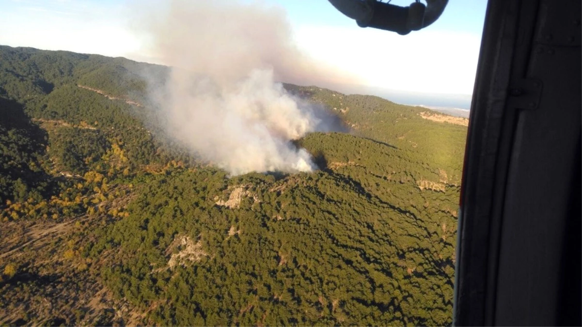 İzmir\'de Korkutan Orman Yangını