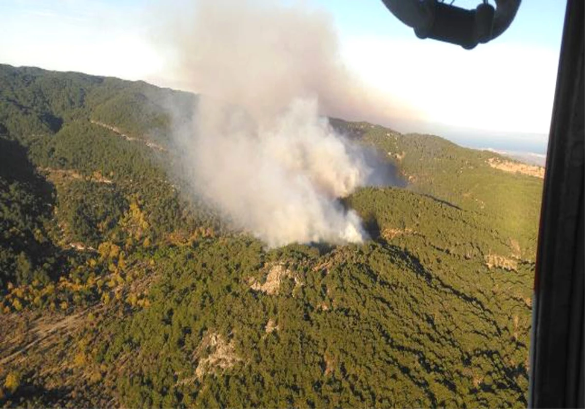 İzmir\'de Korkutan Orman Yangını