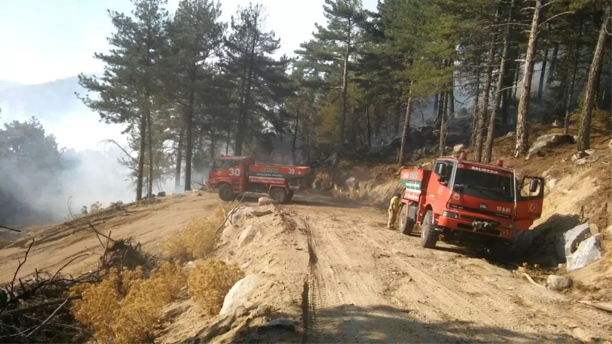 İzmir\'deki Orman Yangını Kontrol Altında