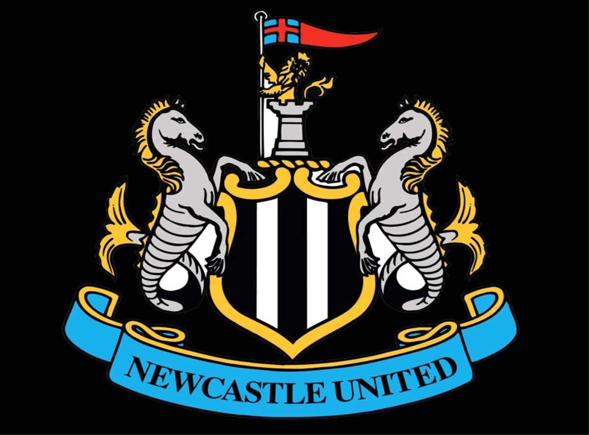 Newcastle United Satışa Çıkarıldı