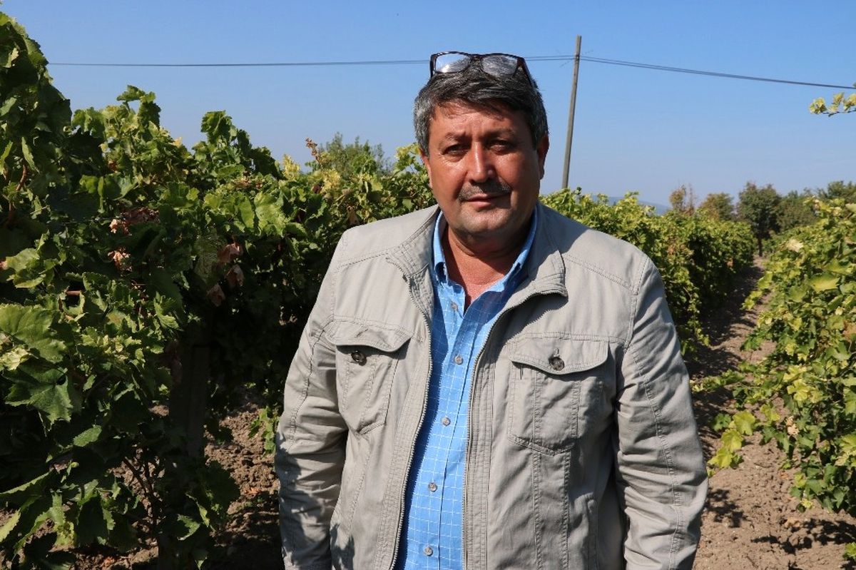 Oda Başkanından "Asker Üzümü" Proje Önerisi