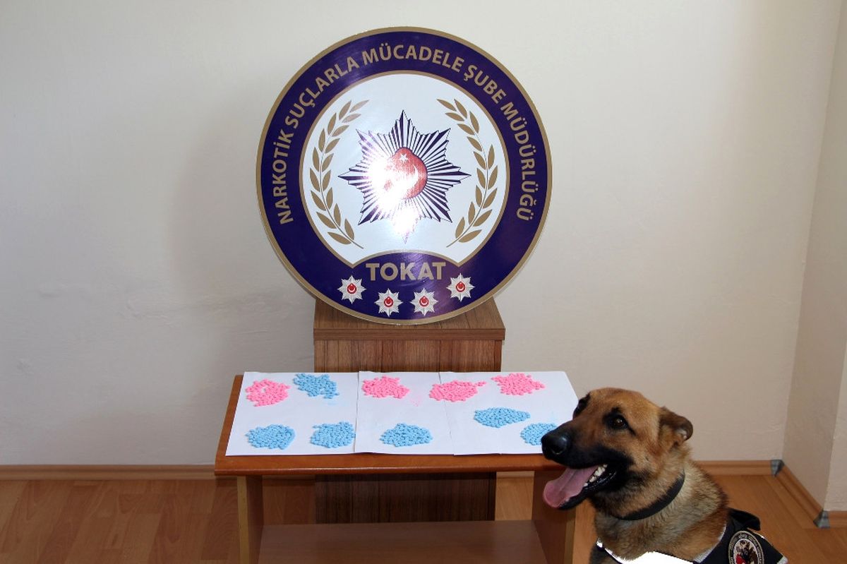 3 İlde Uyuşturucu Operasyonu: 12 Gözaltı