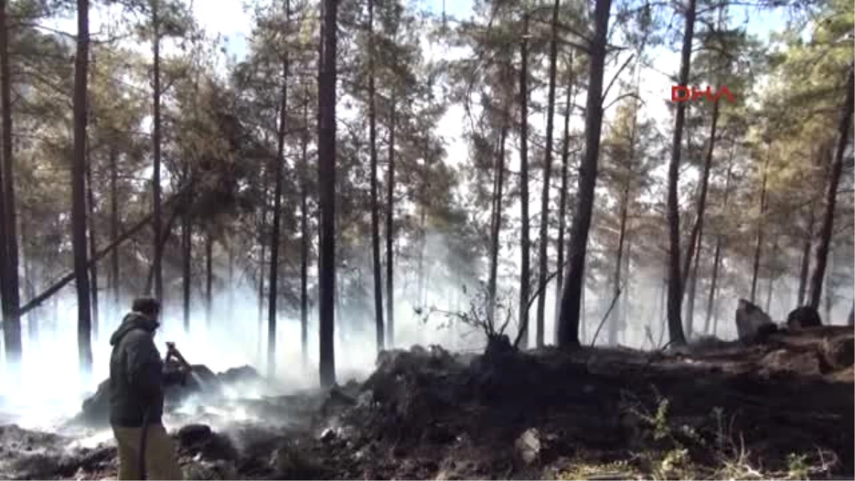 Adana Kozan\'da Orman Yangını