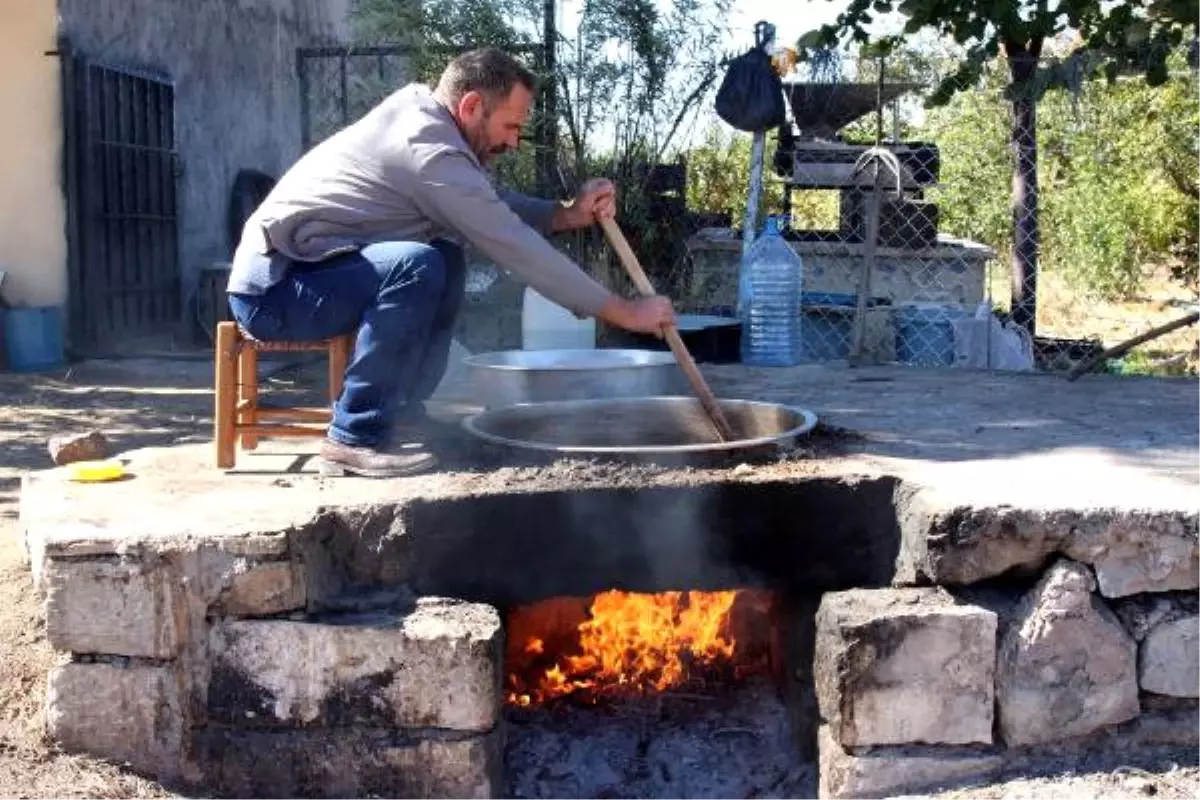 Ergani\'de Bağ Bozumu