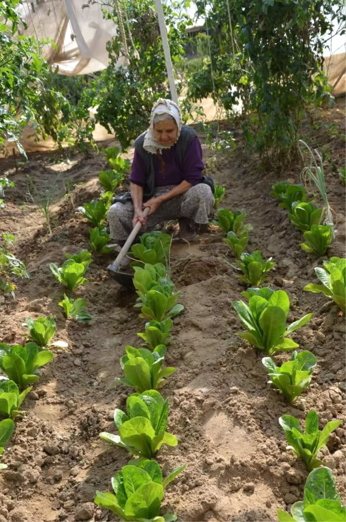 Fatma Nine, Yaşına Meydan Okuyor