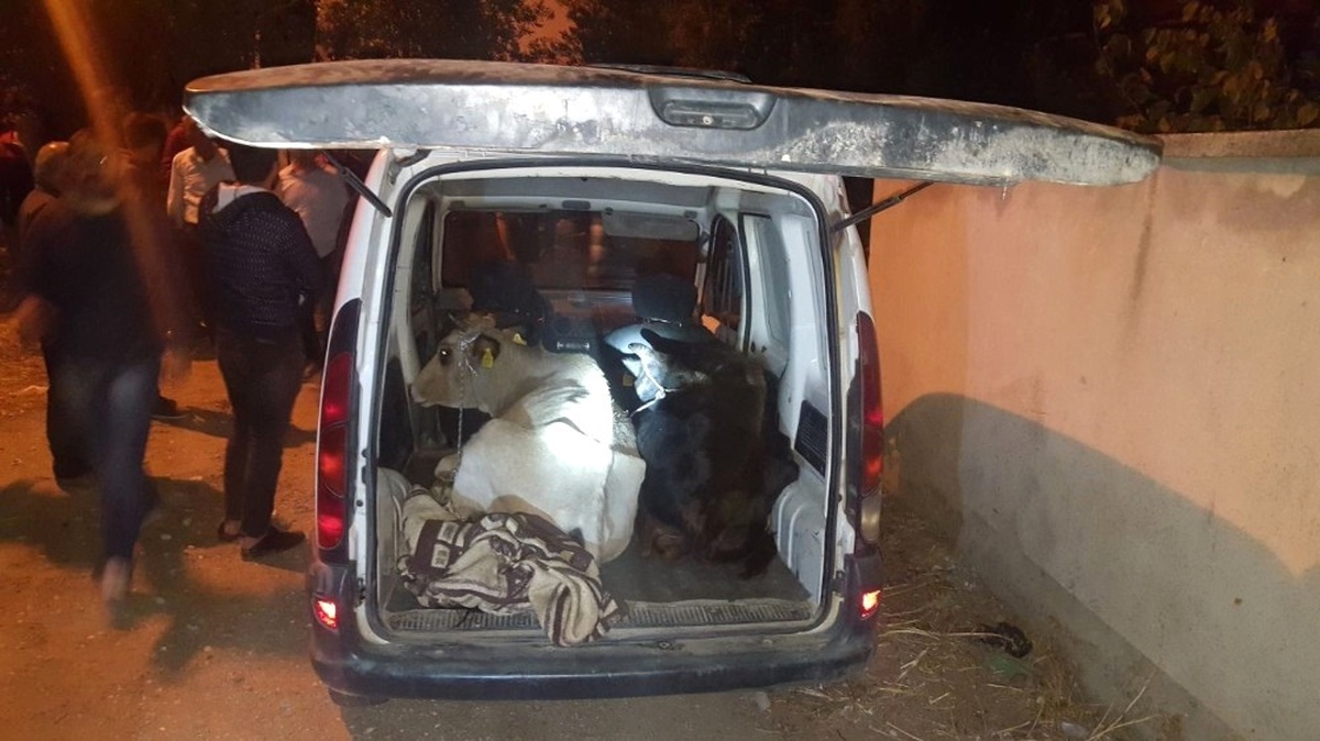 Jandarmanın Şüphesi Hırsızları ve Uyuşturucu Tacirini Yakalattı