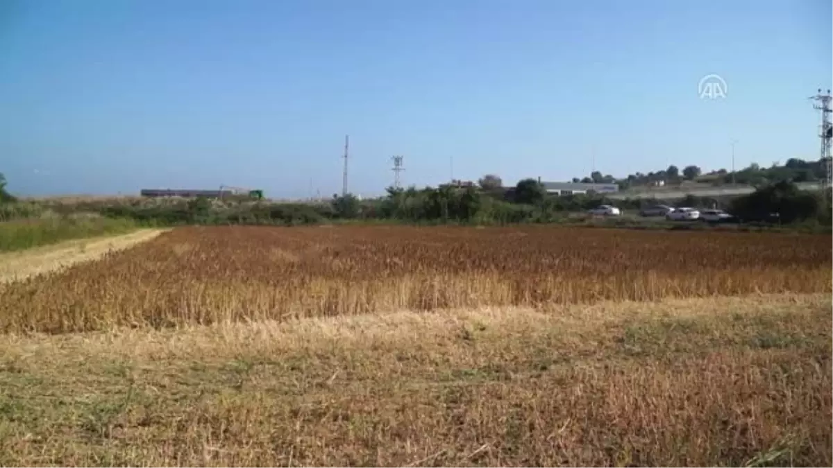 Kinoayı İran Pazarına Sokmanın Gururunu Yaşıyoruz"