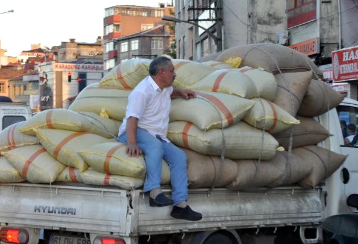 Albayrak: Tefeciler Fındık Fiyatını 3 Liraya Kadar Düşürdü