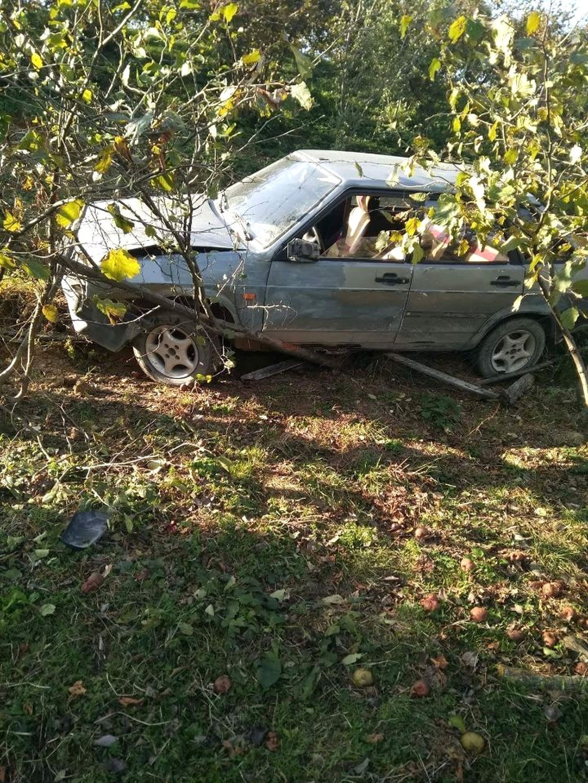 Kontrolden Çıkan Otomobil Tarlaya Uçtu