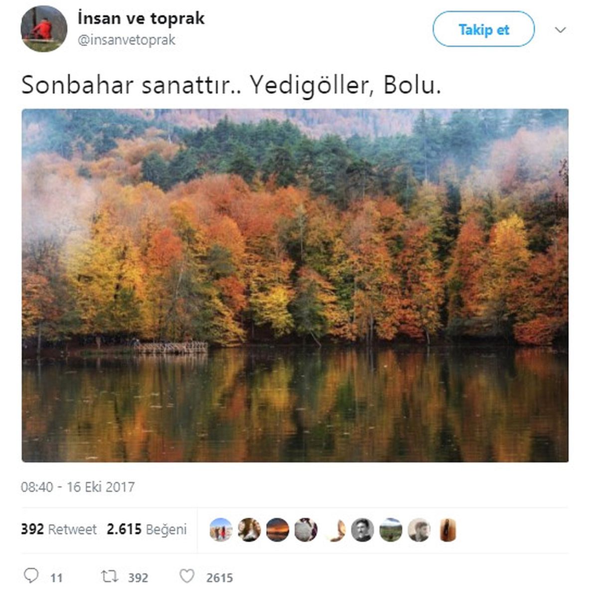 Twitter\'da Sonbaharla Görsel Şölen Yaşanıyor