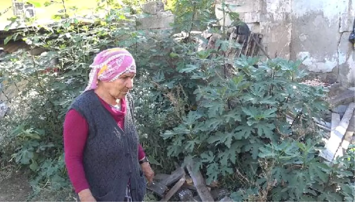 Yanan Barakasının Yerine Yenisini Yapmaya Çalışıyor