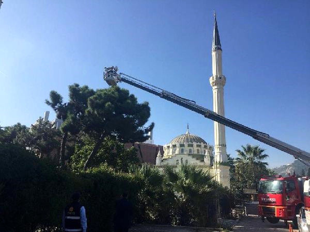 Ağaçta Mahsur Kalan Kedi 1 Saatte Kurtarıldı