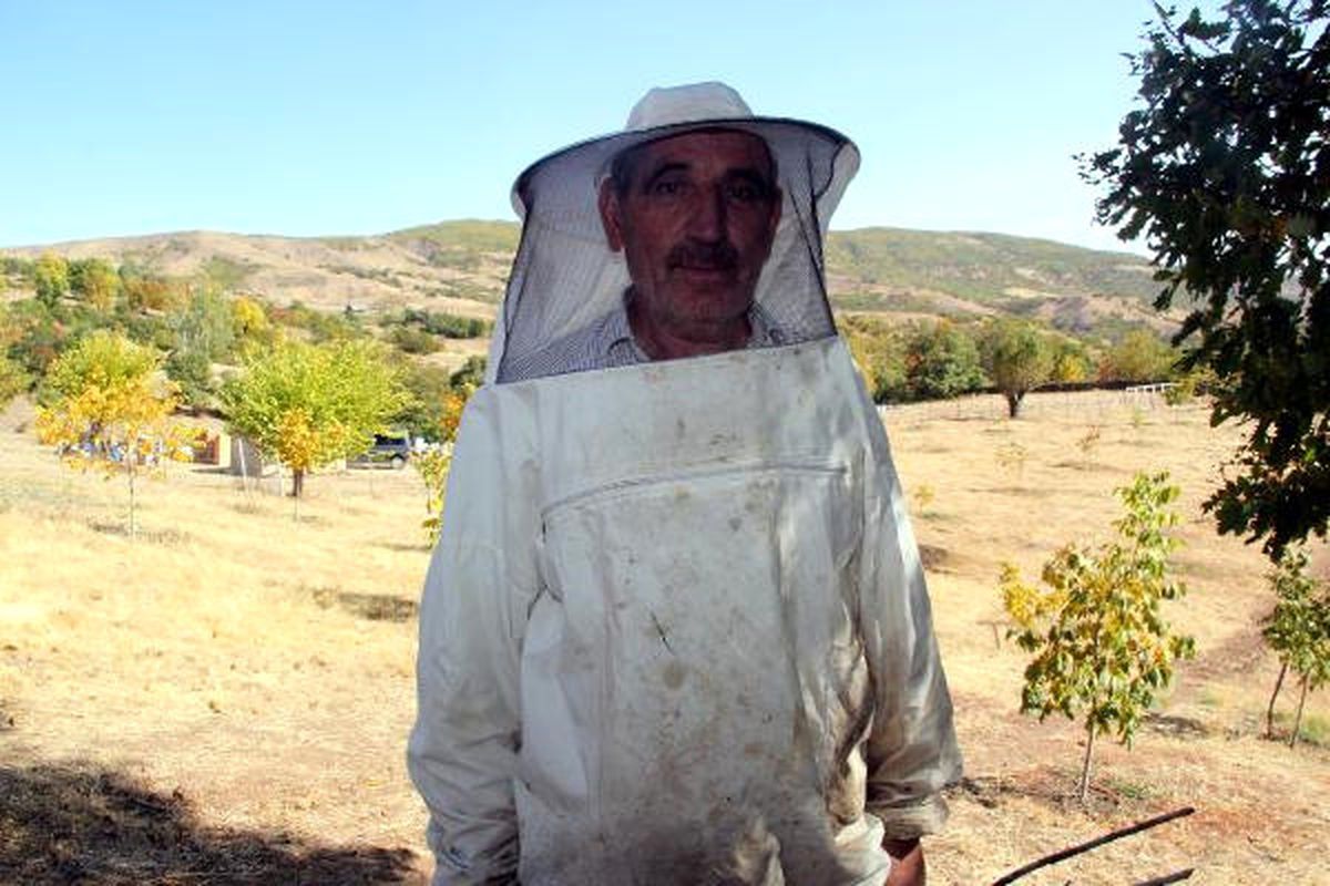 Bingöl\'de, Ödüllü Arıcının Bal Kovanlarına Ayılar Saldırdı