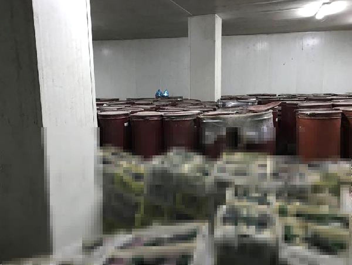 Çeşme\'de 30 Bin Litre Kaçak Üretim Şarap Ele Geçirildi