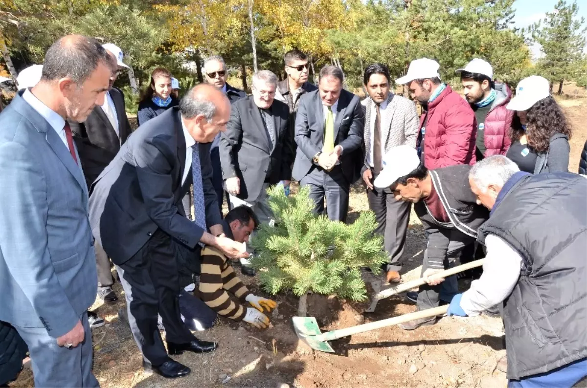 Etso AB Bilgi Merkezi, 163 Fidanı Toprakla Buluşturdu