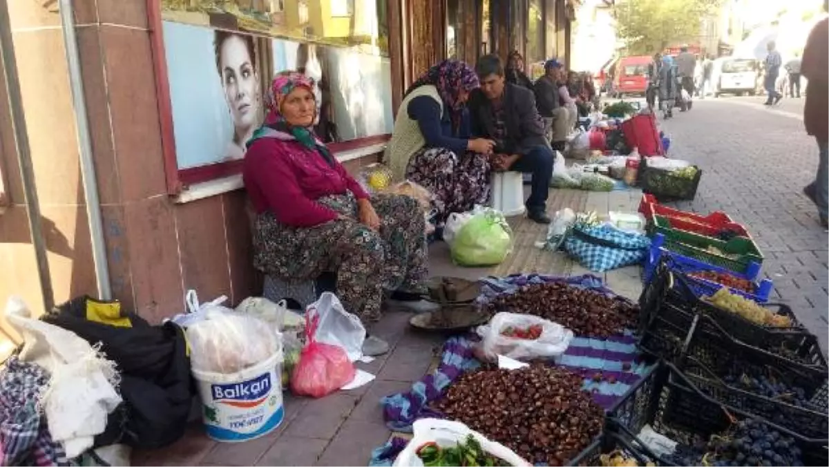 Kazdağı Kestanesinin Fiyatı 3 Liraya Düştü