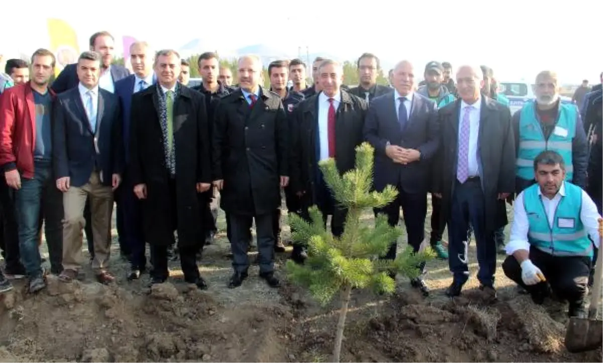 Cezalarını Fidan Dikerek Ödüyorlar