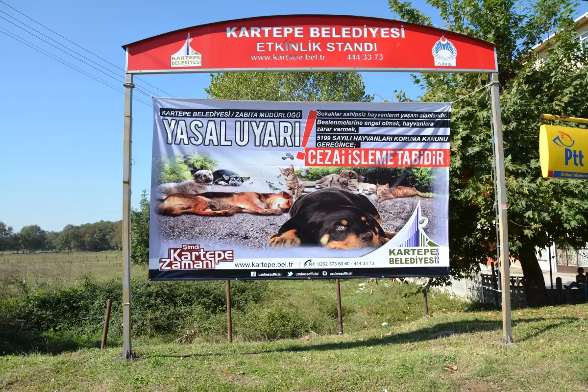 Kartepe Belediyesi, Sokak Hayvanlarının Haklarını Koruyor