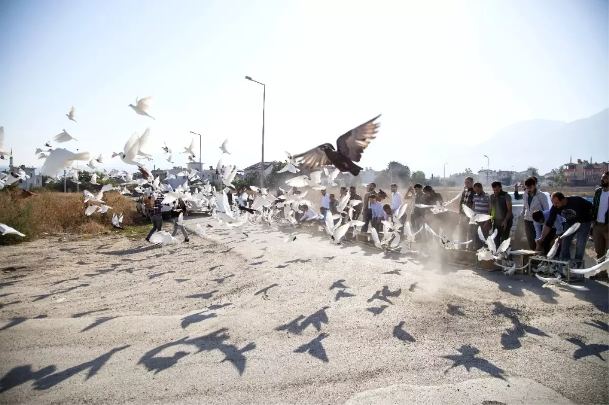 500 Güvercin, Dostluk İçin Havalandı