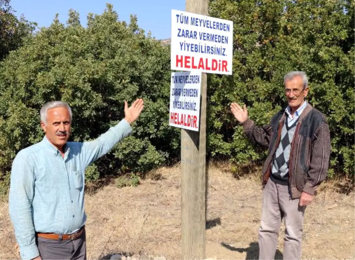 Bu Köyde Ağaçlardan Meyve Yemek Tek Şartla Helal