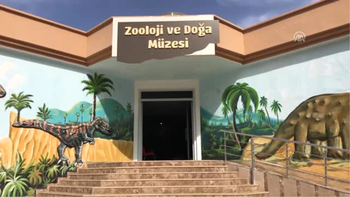 Gaziantep Zooloji ve Doğa Müzesine İlgi